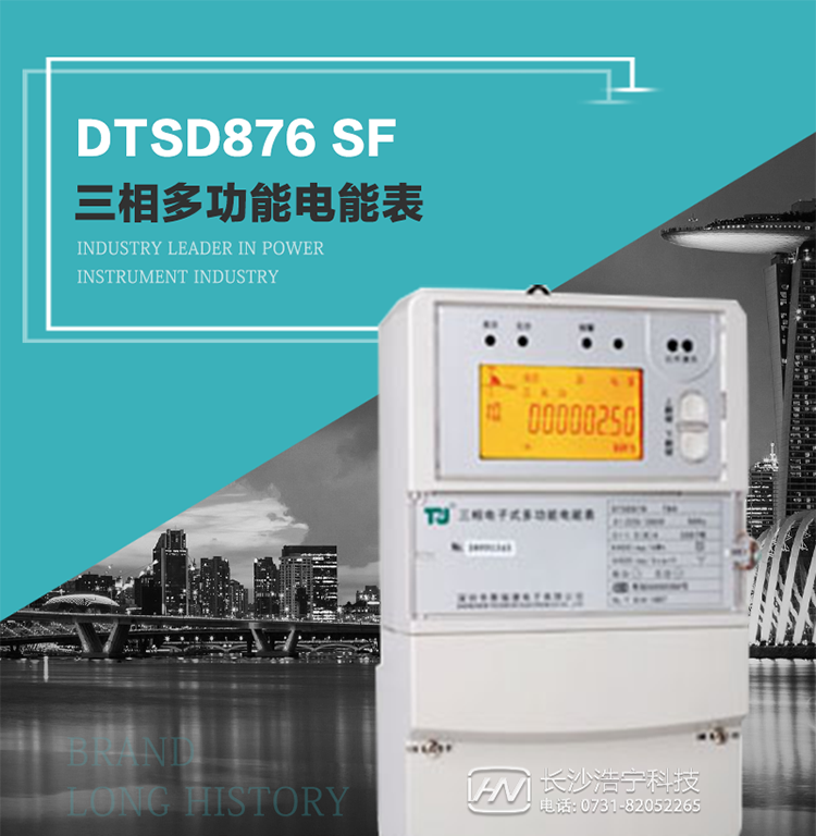 產(chǎn)品型號：DTSD876 SF型 三相多功能電能表
精度等級：有功0.5級 1級；無功2級 
額定電壓： 3×100V 3×57.7/100V 3×220/380V 
額定電流： 1.5(6)A 5(20)A 10(40)A 15(60)A 20(80)A 30(100)A 
頻 率： -40℃～+70℃ 
工作溫度：≤0.5S 
顯示方式： ≥1000mAh 
整機功耗： ≥10年 
重量： 約2.4kg 
外形尺寸： 293mm×175mm×80mm