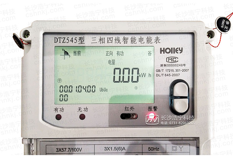 華立DTZ545智能電表電量顯示查詢